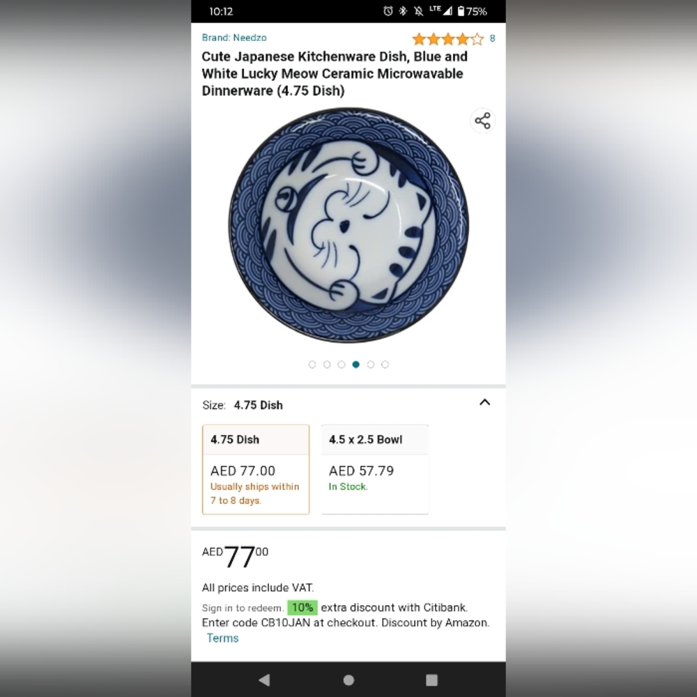 Lucky cat plate and bowl